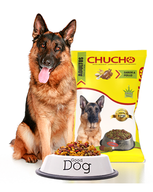 chucho alimento para perros