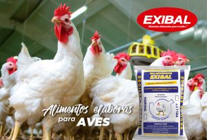 EXIBAL-AVES