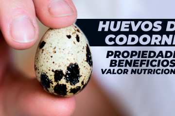 huevos de codorniz exibal