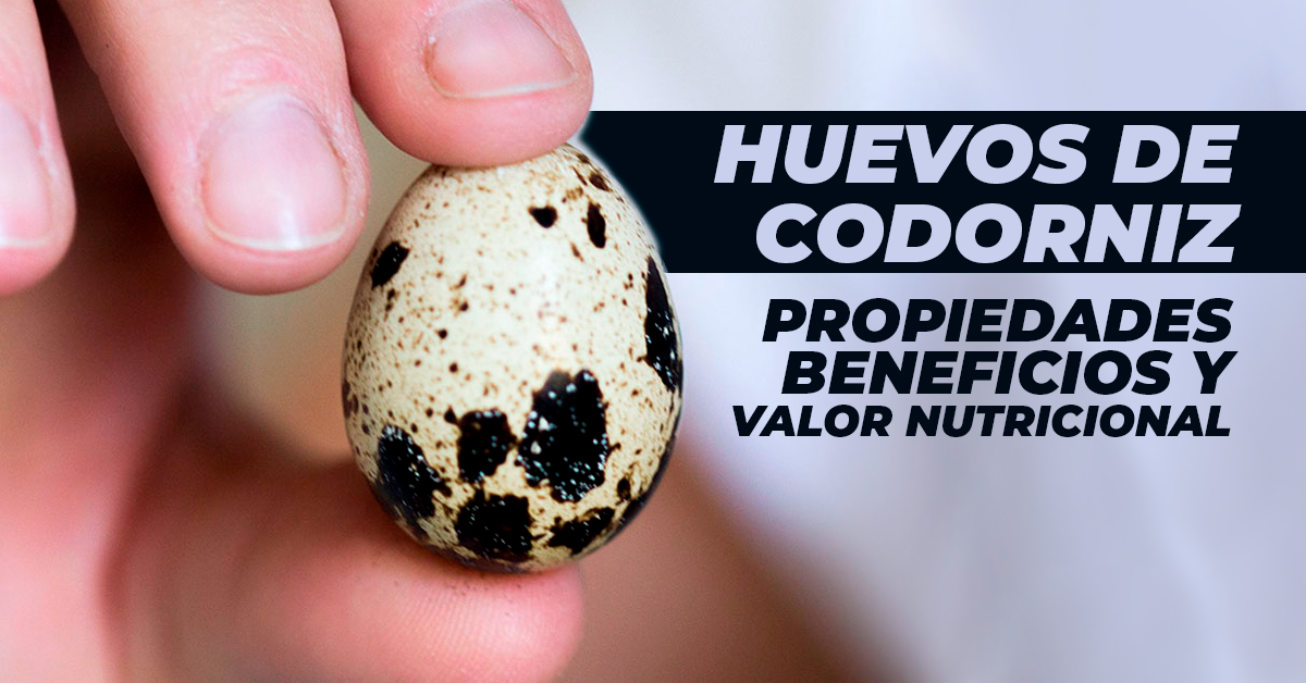 huevos de codorniz exibal