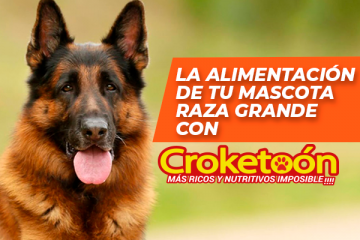 CROKETOON ALIMENTO PARA RAZAS GRANDES