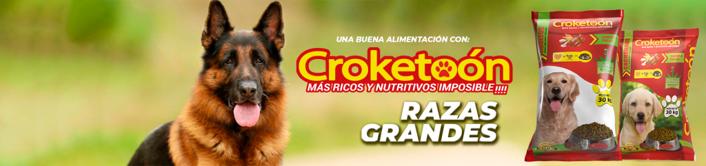 croketoon razas grandes