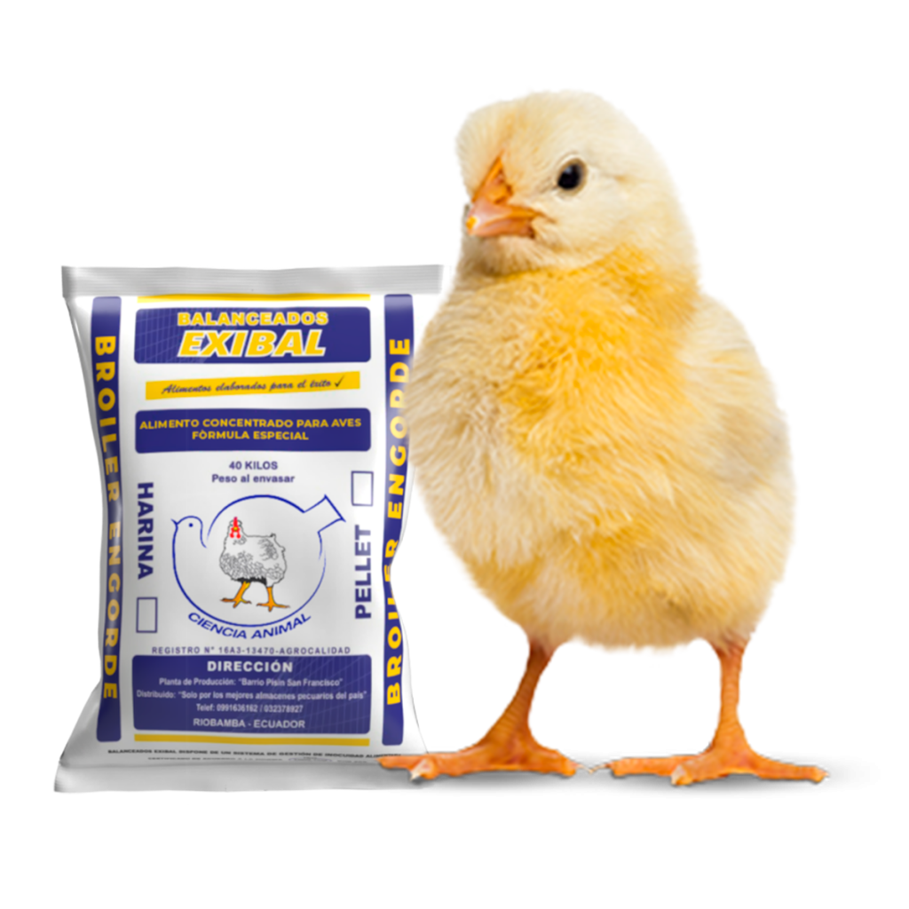 exibal manual de produccion broiler