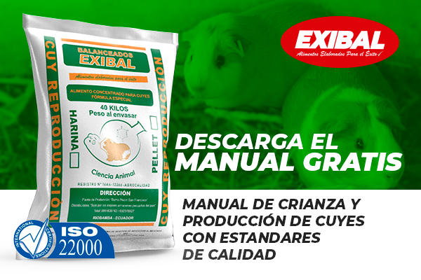 manual de cuyes exibal