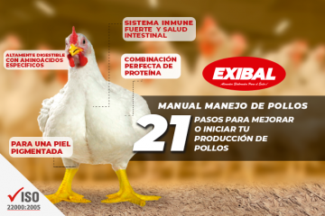 manual manejo de pollos balanceados exibal