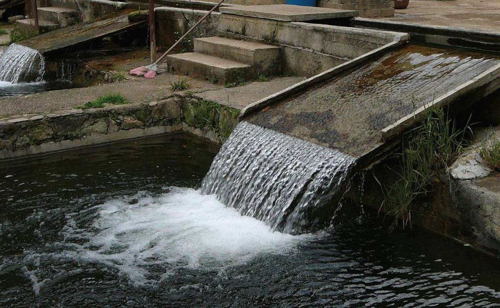 caliodad de agua truchas