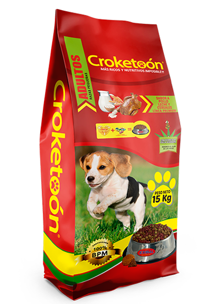 croketoon cachorros