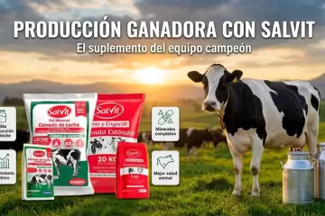 Imagen publicitaria de Salvit con vaca en campo y suplementos minerales para ganado de leche y engorde que mejoran la producción, crecimiento y salud animal.