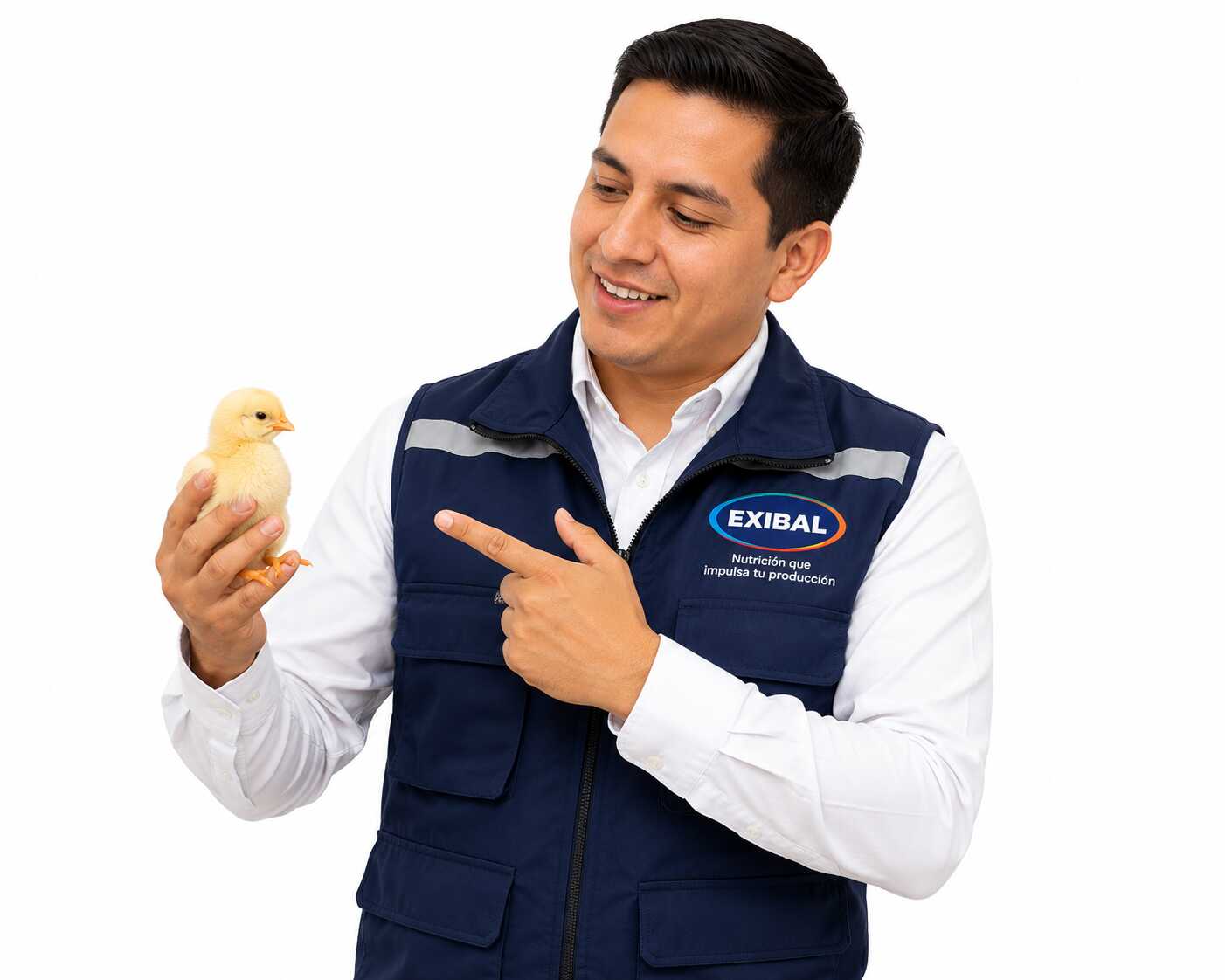 Asesoría técnica EXIBAL