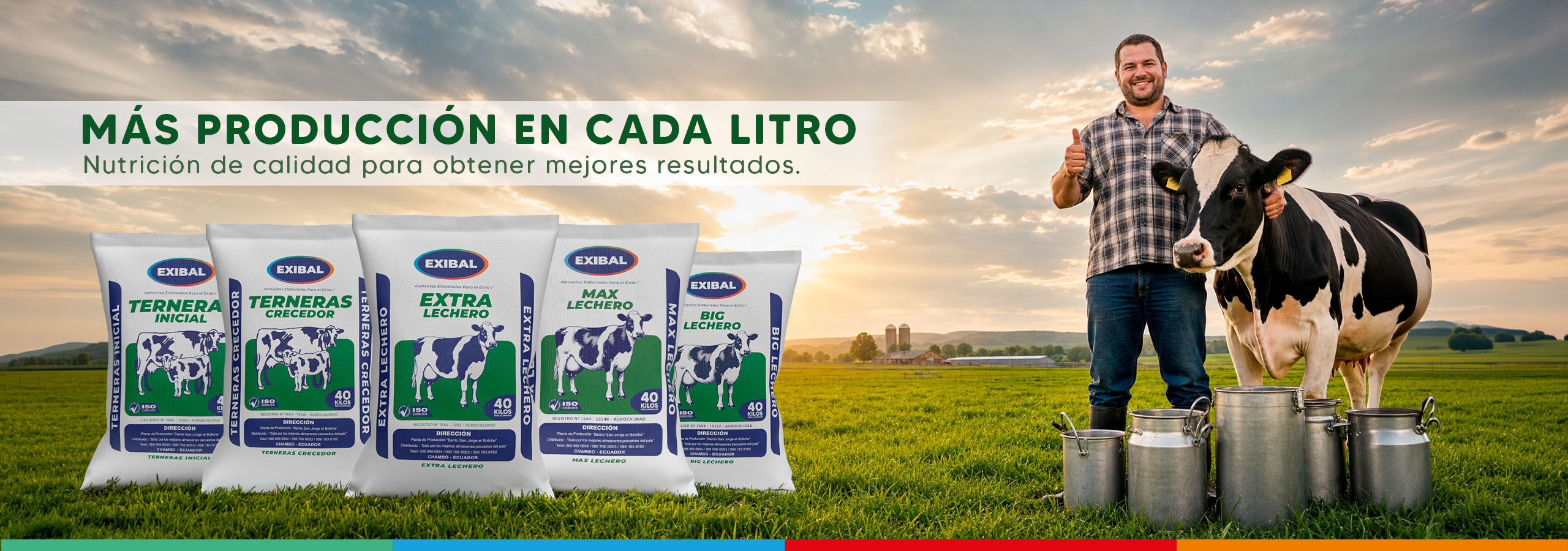 Sacos de alimento balanceado para ganado lechero Exibal en un campo con ganadero y vaca lechera